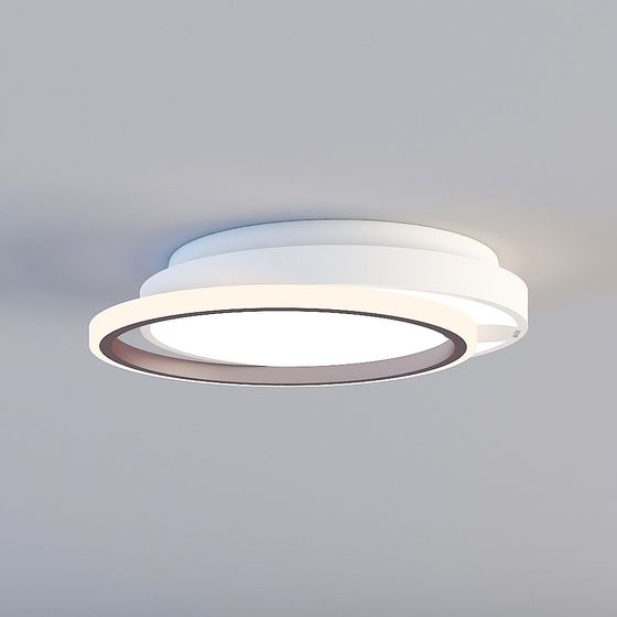 Elegant Ceiling Light 3D model for Modern Interiors