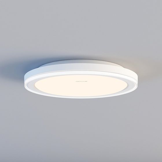 Elegant Round Ceiling Light 3D model