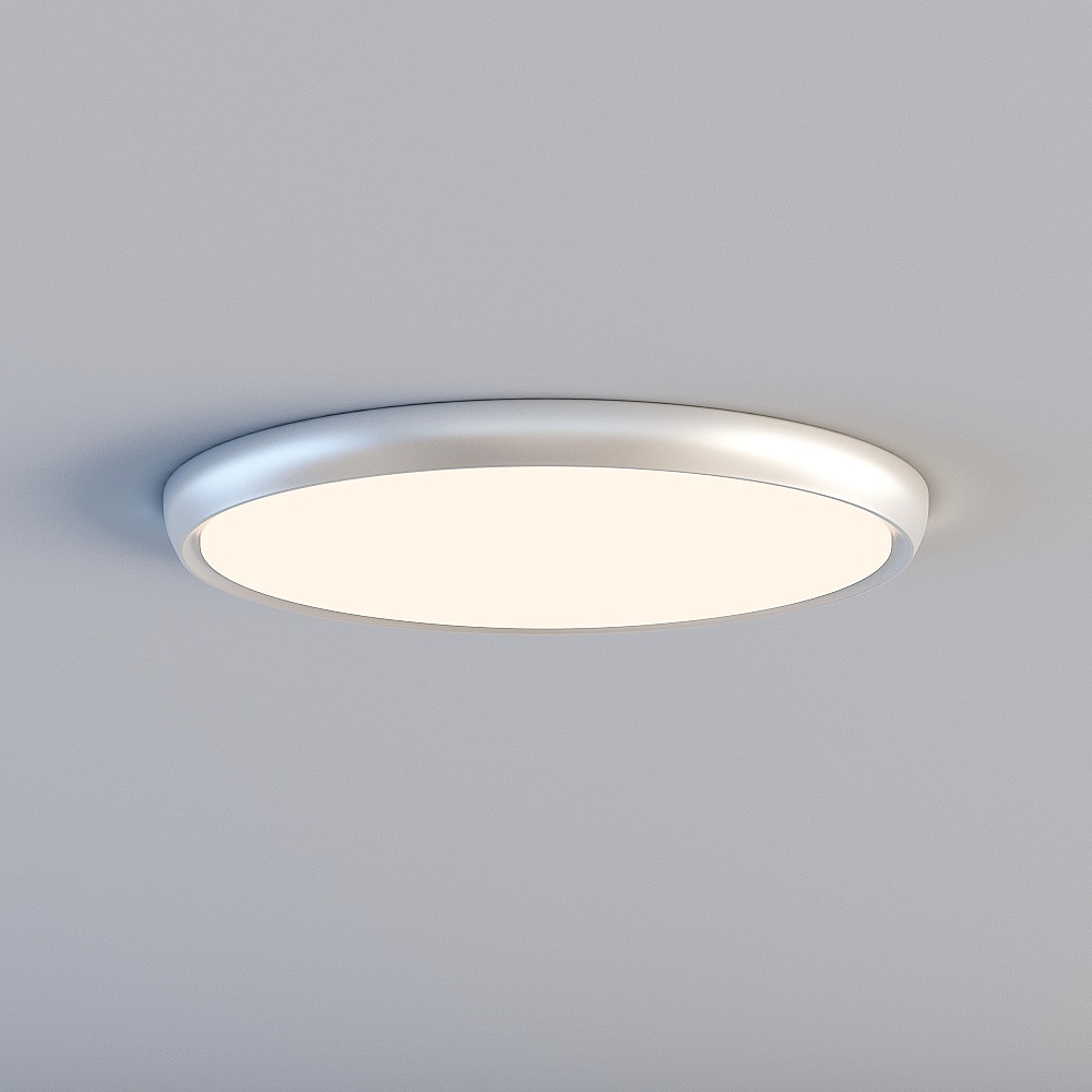 Ceiling light