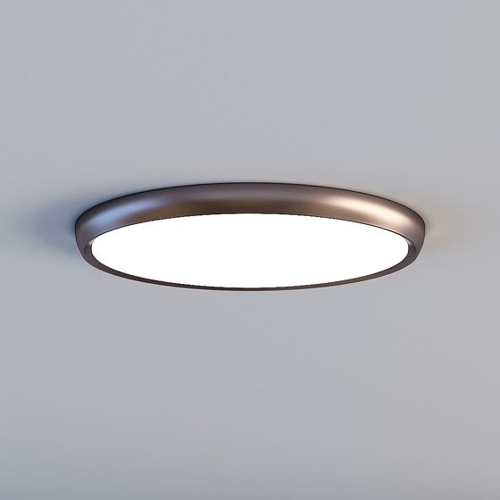 Modern Minimalist Round Ceiling Light 3D model