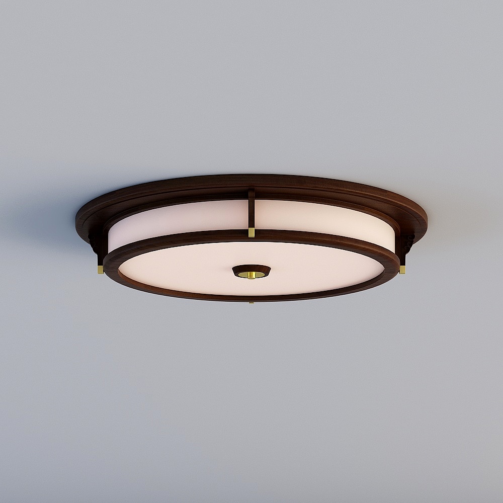 Ceiling light