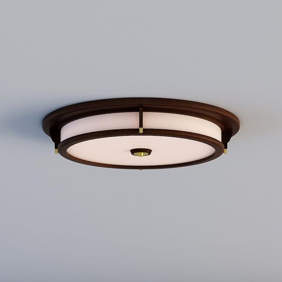 Elegant Round Ceiling Light 3D model