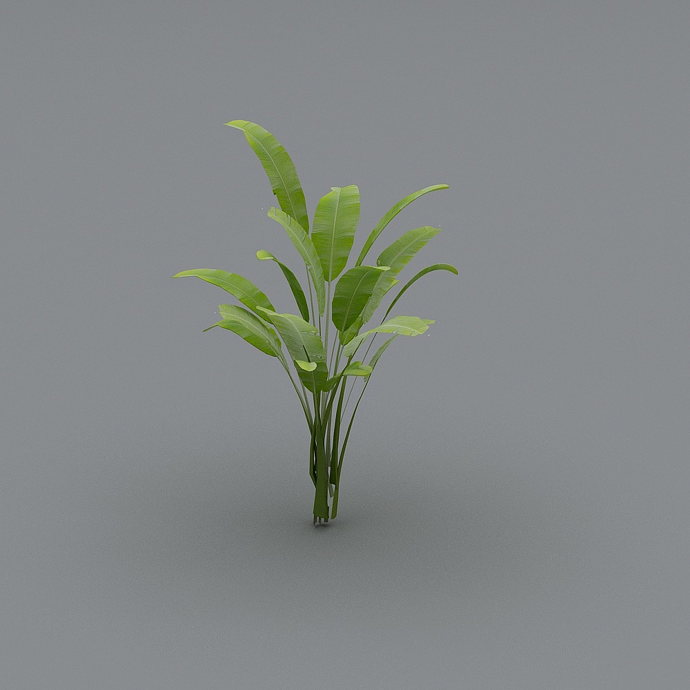 Green Plant 5