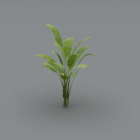 Low-Poly Tropical Banana Grove 3D Model