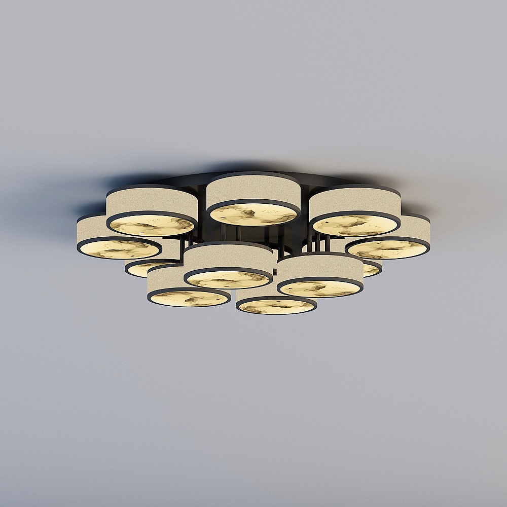 Ceiling light