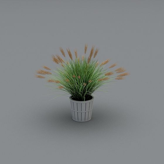 Vibrant Rustic Potted Grass 3D model