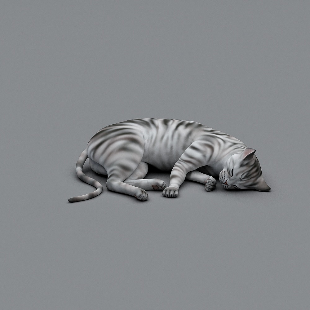 Relaxing Sleeping Cat 3D model