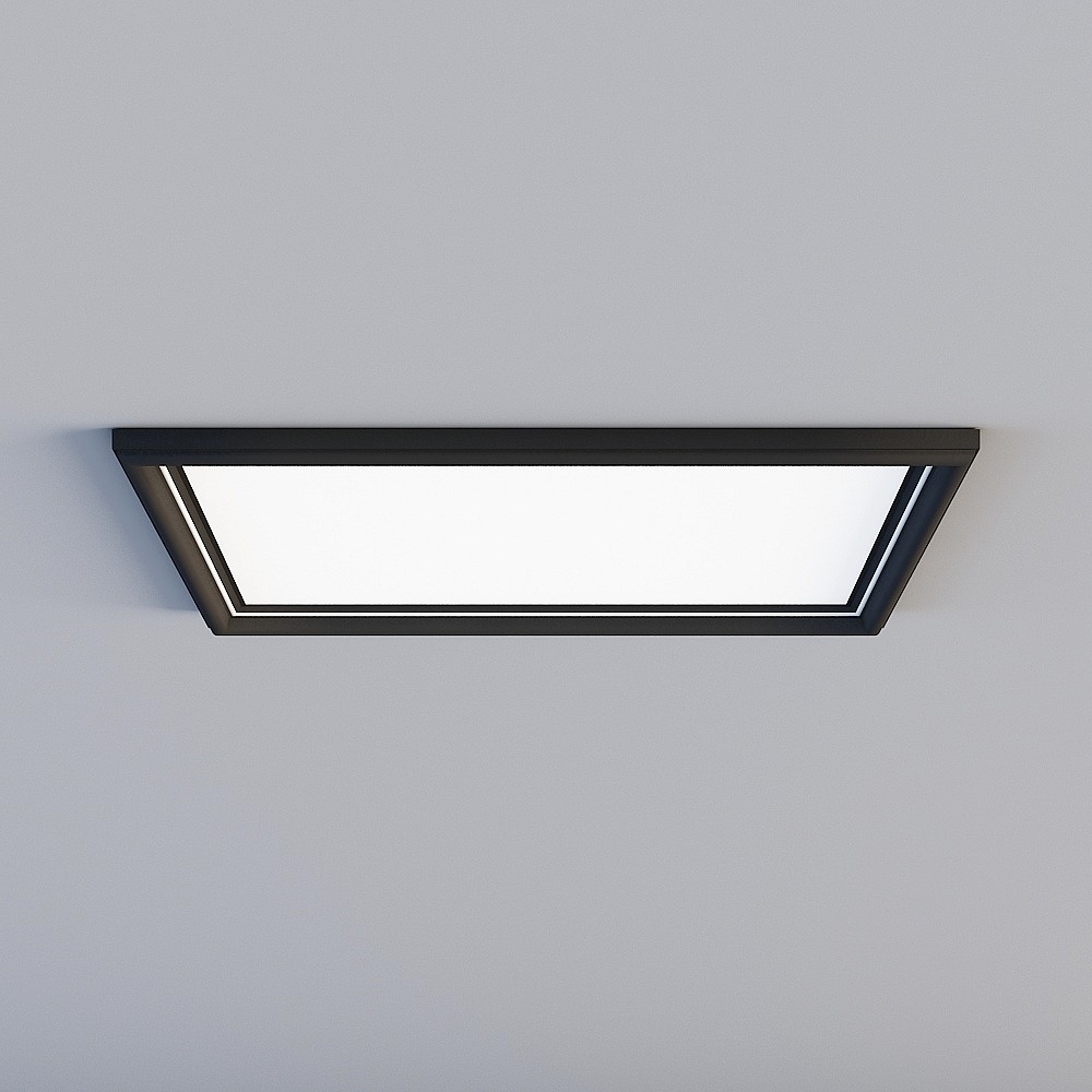 Ceiling light