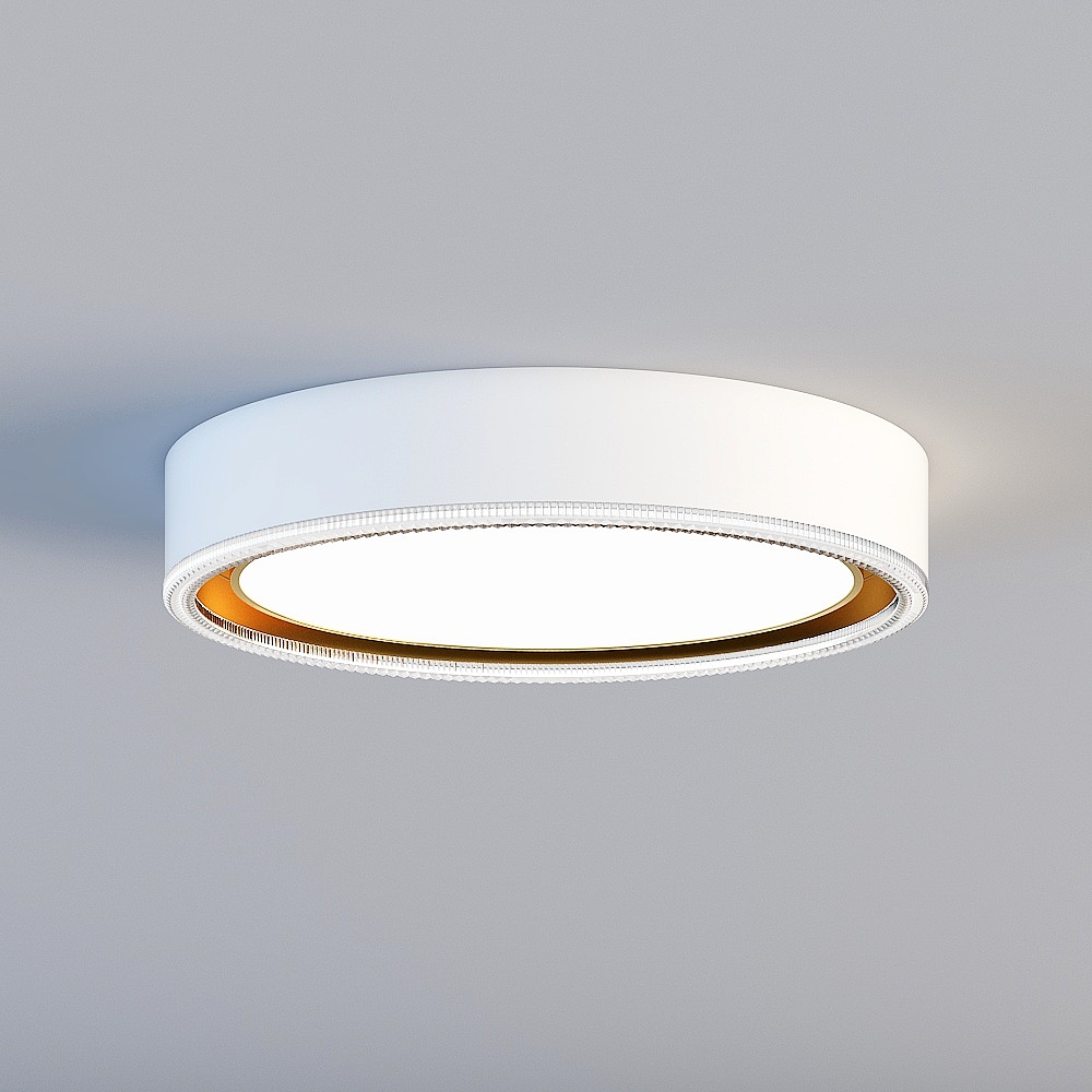 Ceiling light