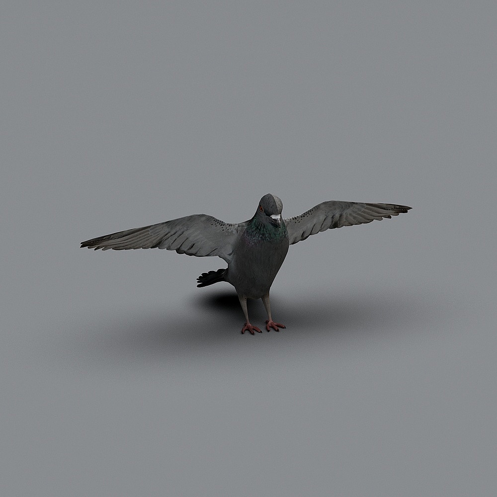 Realistic Urban Pigeon 3D Model