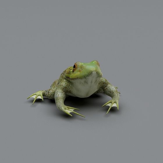 Жаба Головастик 342552-6