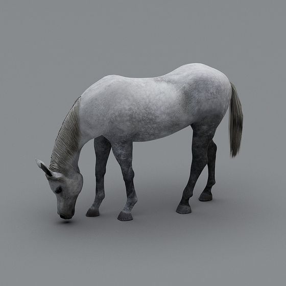 Caballo Blanco 391759