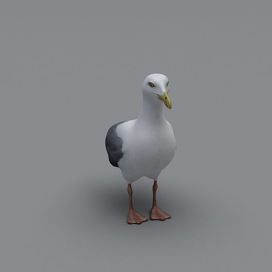 Low Poly Seagull 3D model for Creative Projects