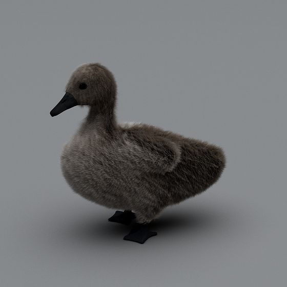 Fluffy Gosling 3D Model for Creative Projects
