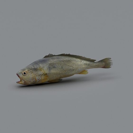Vibrant Yellow Fish 3D model for Creative Projects