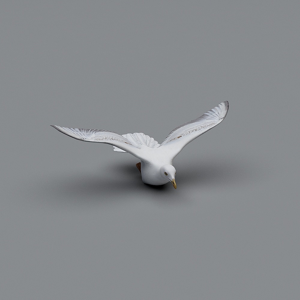 Soaring Seagull 3D model