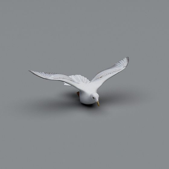Dynamic Soaring Seagull 3D model for Creative Use