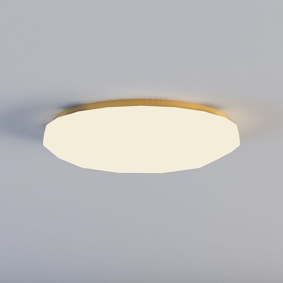 Modern Elegant Ceiling Light 3D model