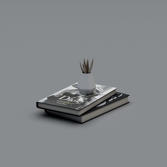 Stylish Minimalist Bookshelf and Plants 3D model