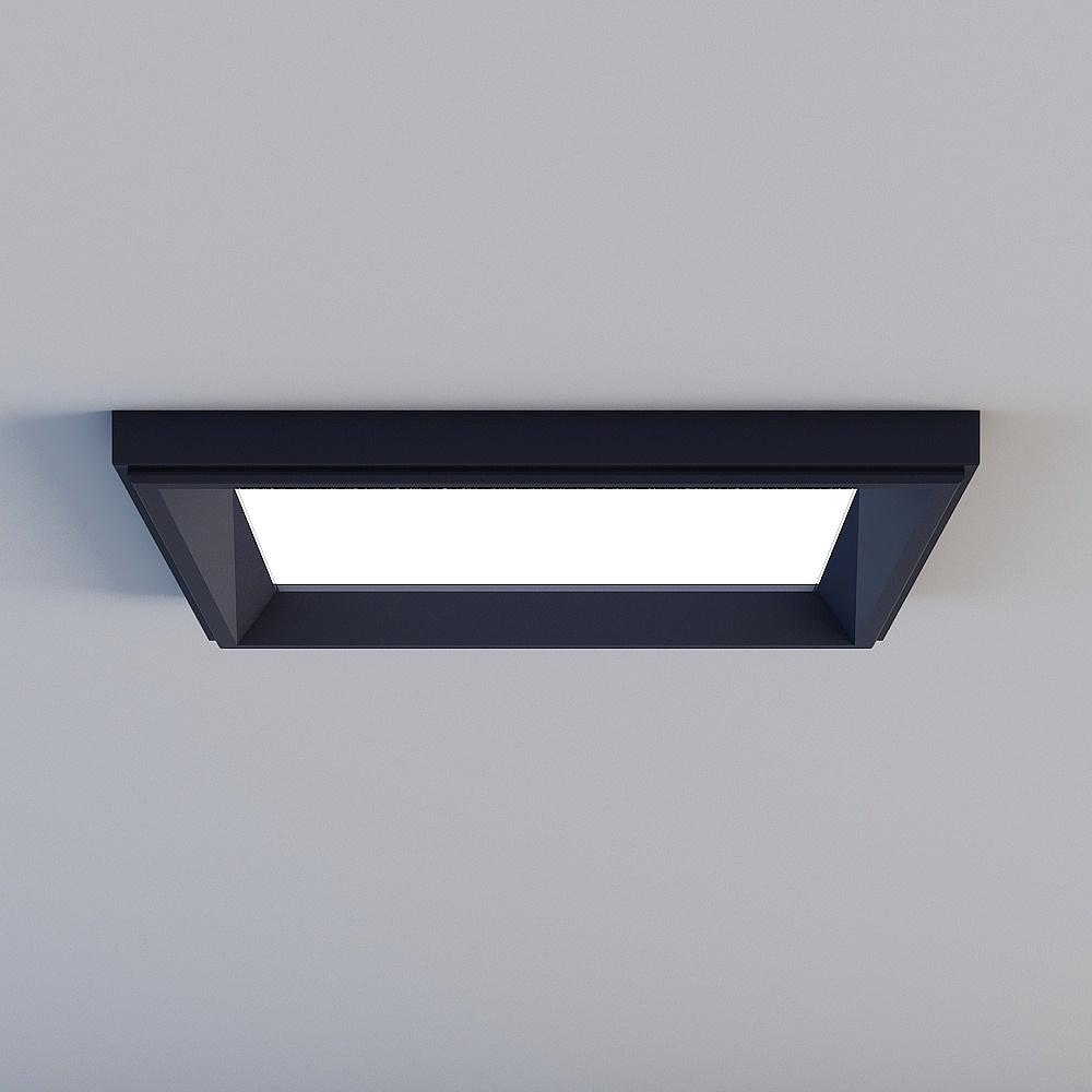 Ceiling light