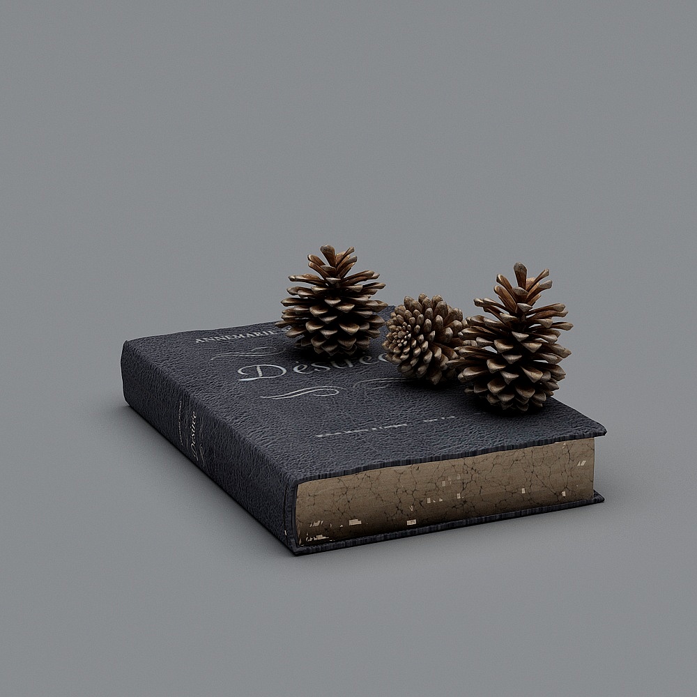 Pine Cones on a Book 3D model