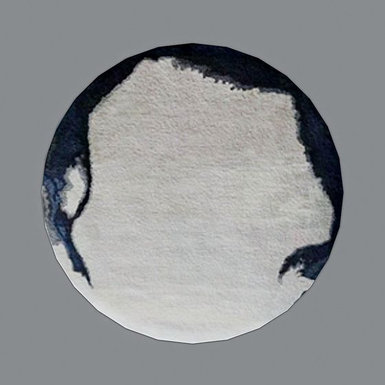 Elegant Round Carpet 3D model