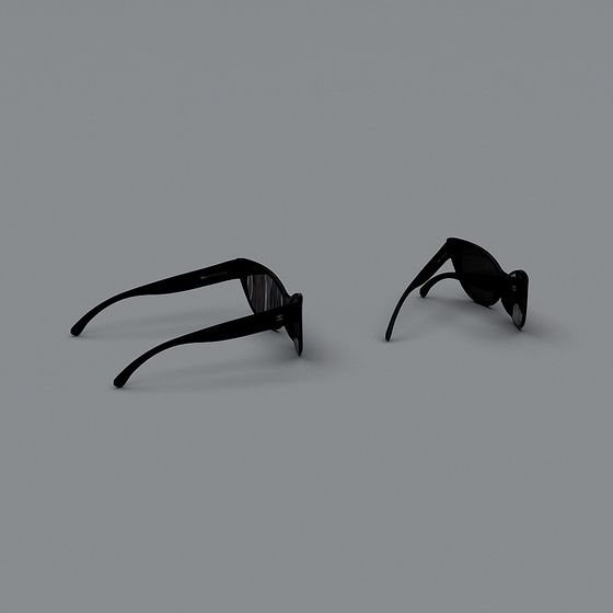 Chic Shades 3D model