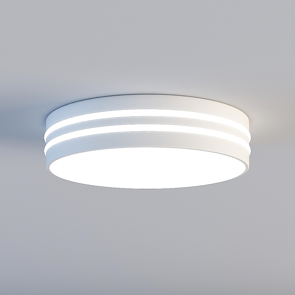 Ceiling light
