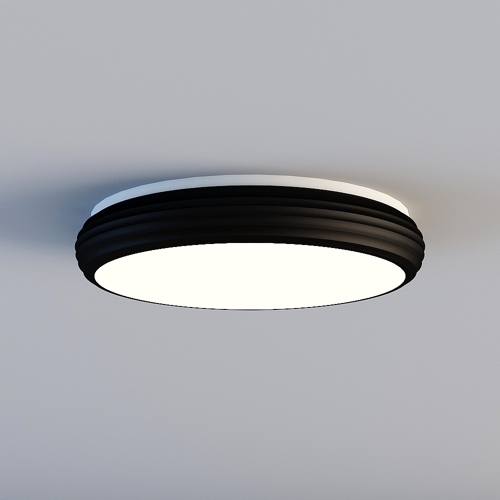 Ceiling light