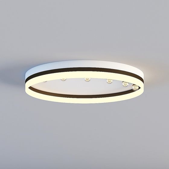 Modern Round Ceiling Light 3D model