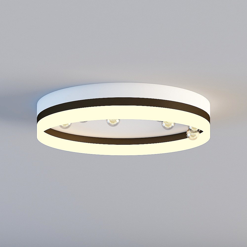 Ceiling light