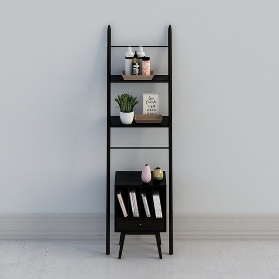 Ladder Shelf 3D model for Modern Interiors