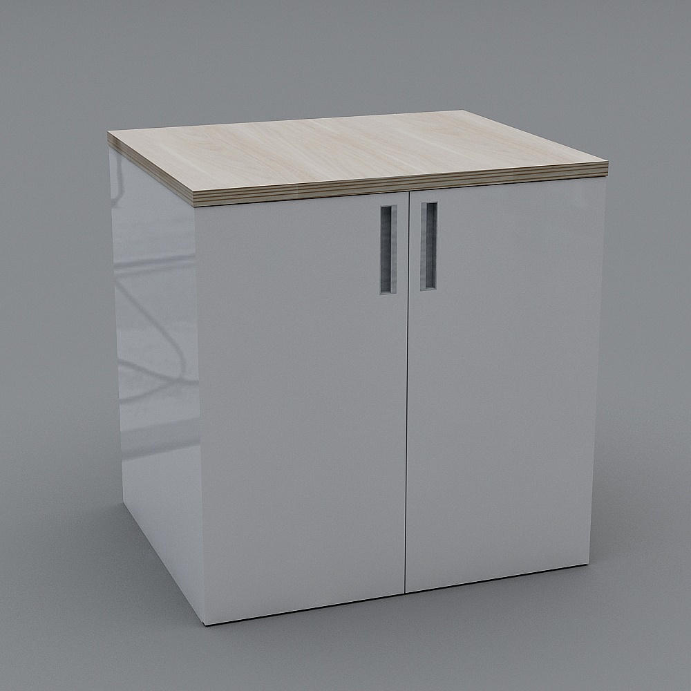 Cabinet-Double Sided door
