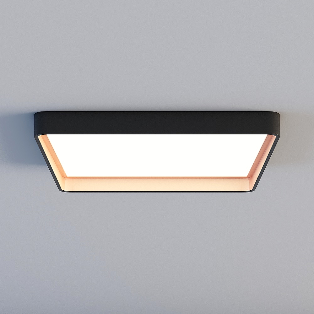 Ceiling light