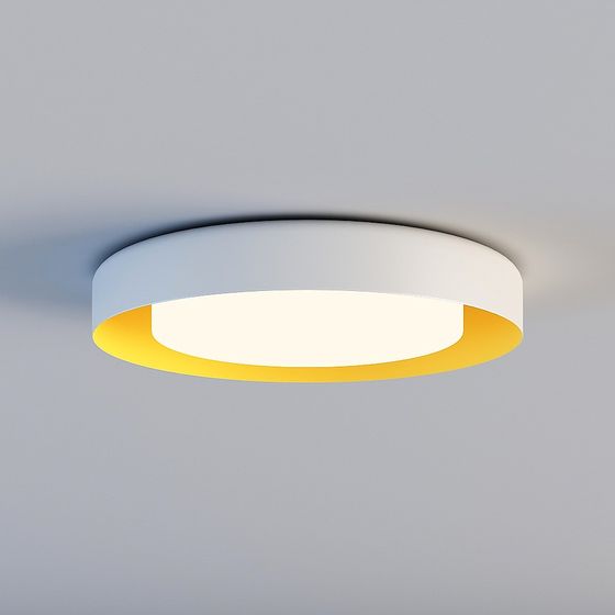 Elegant Round Ceiling Light 3D model