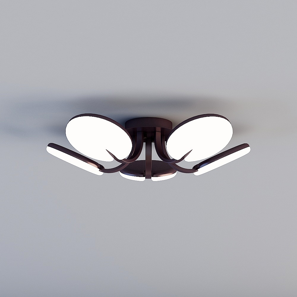 Ceiling light