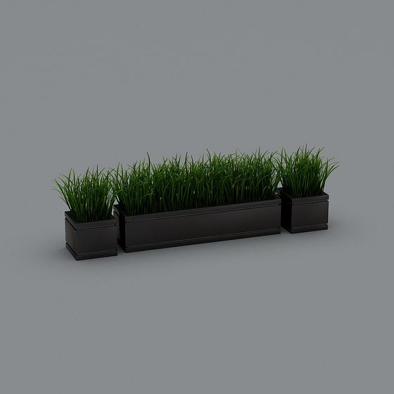 Urban Greenery 3D Model Set for Designers