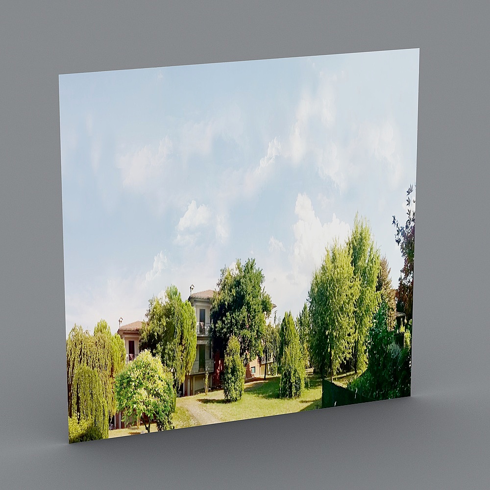 Environment picture model