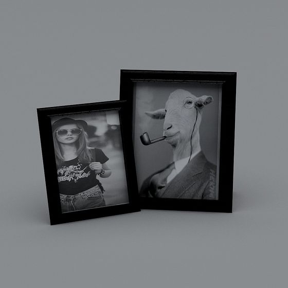 Chic Black and White 3D Frame Models