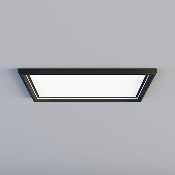 Luxurious Modern Ceiling Light 3D Model in Black
