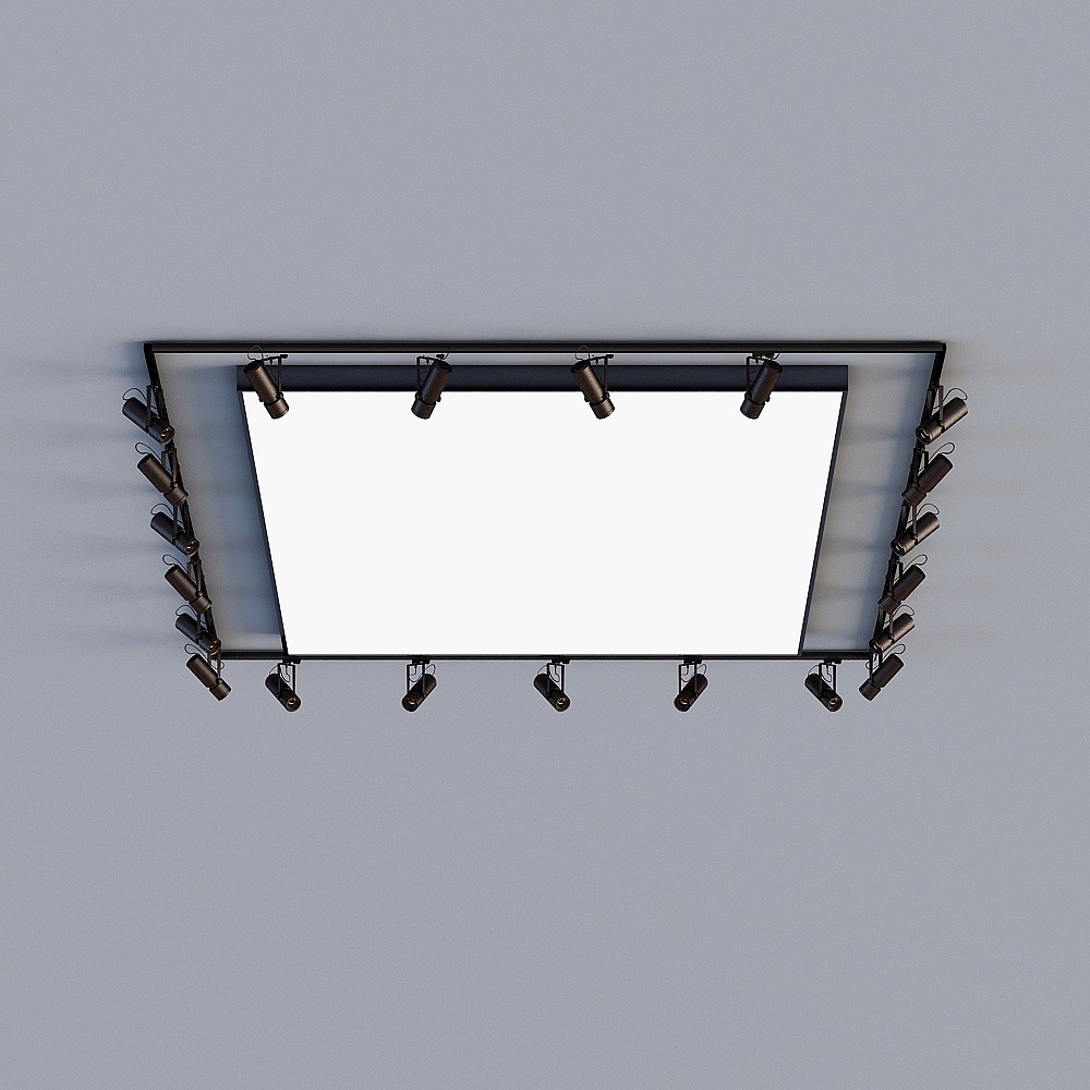 Ceiling lamp 12