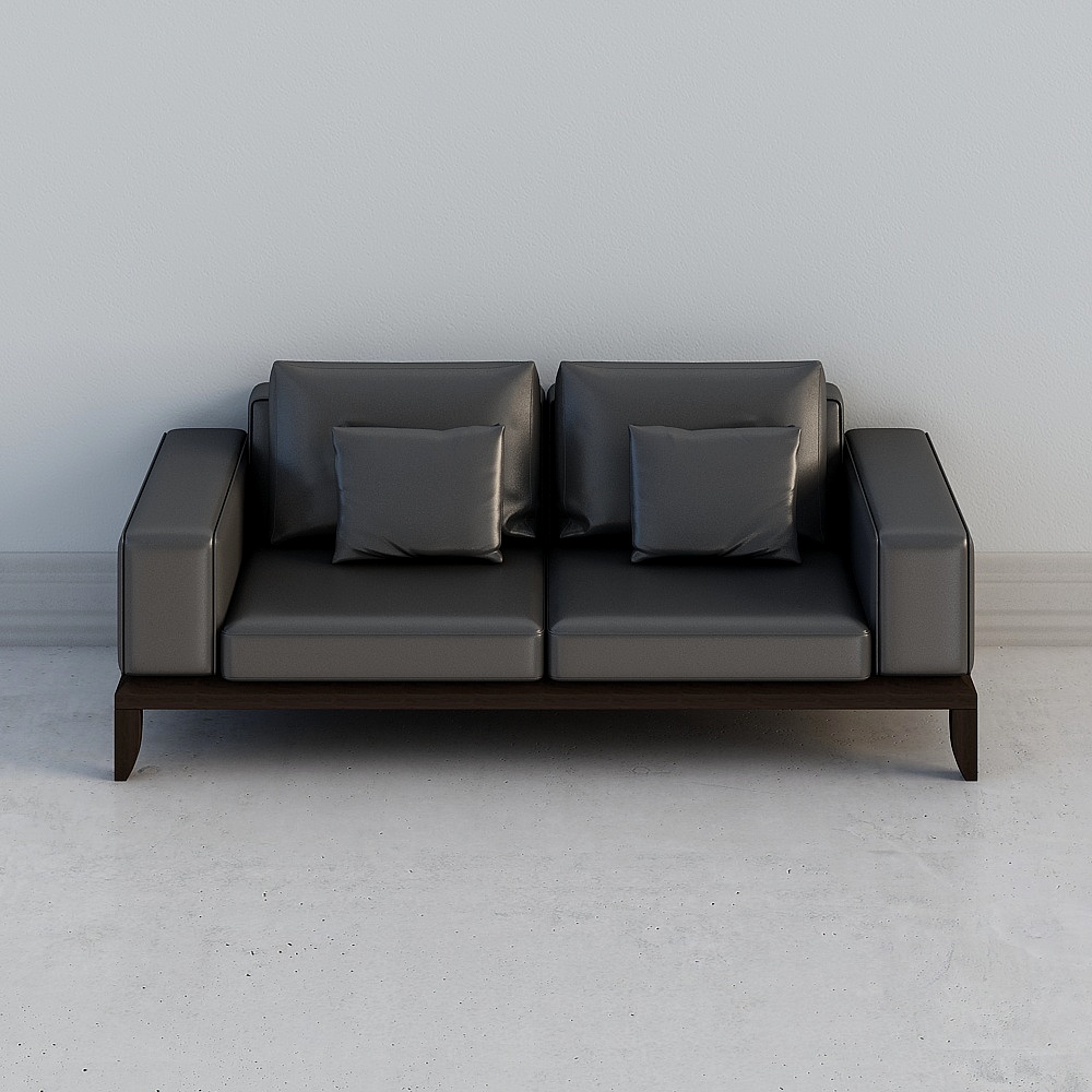 Modern Loveseats,Seats & Sofas,Loveseats,Black