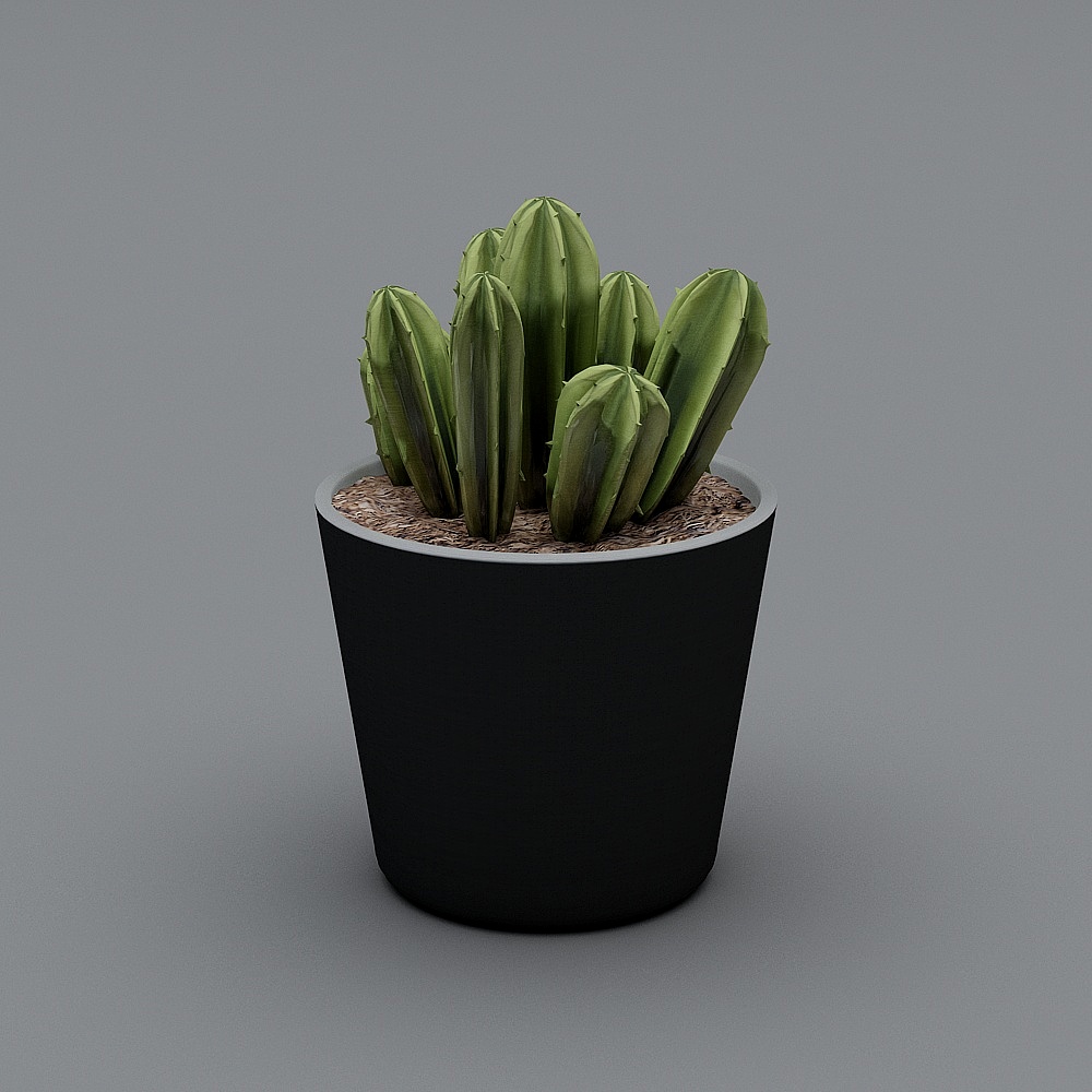 Ornaments 4.0