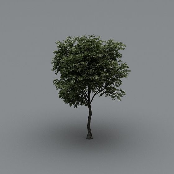 Modern Plants,Plants,Black,Greater than 50 cm