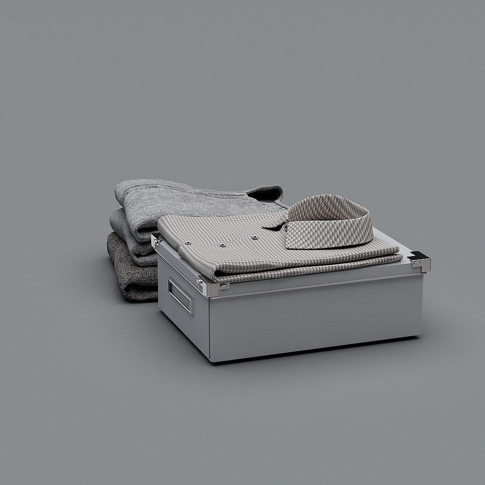 Minimalist Gray Storage Box 3D model