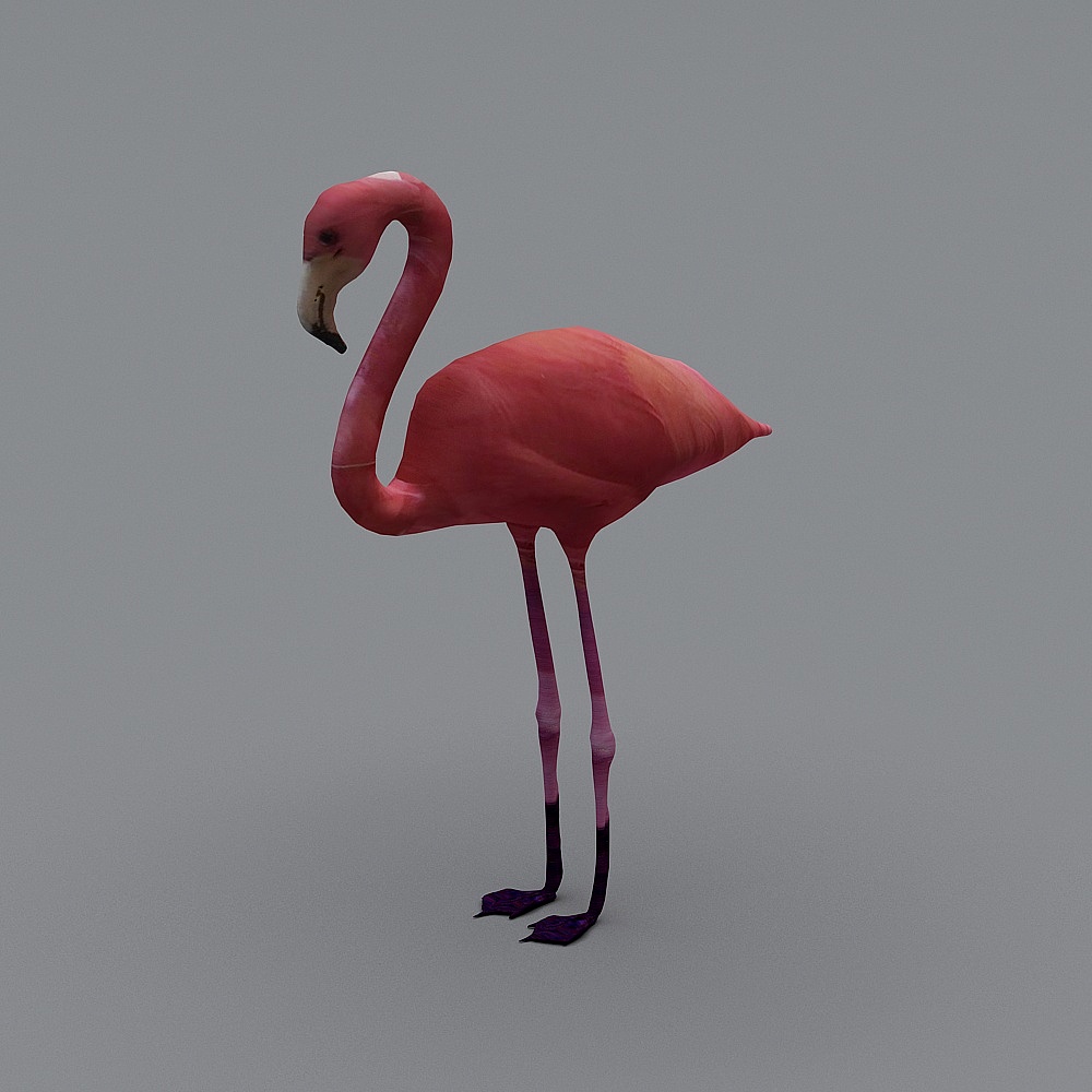 Elegant Flamingo on Beach 3D model