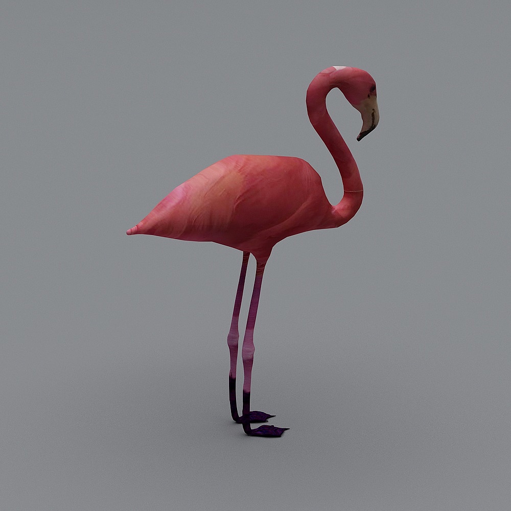 Elegant Flamingo 3D Model for Beach Scenes