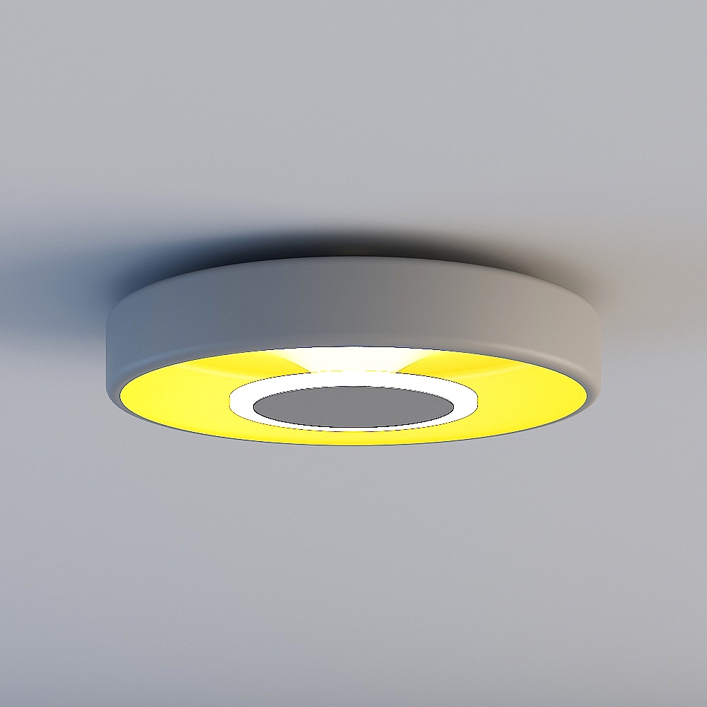 Ceiling light