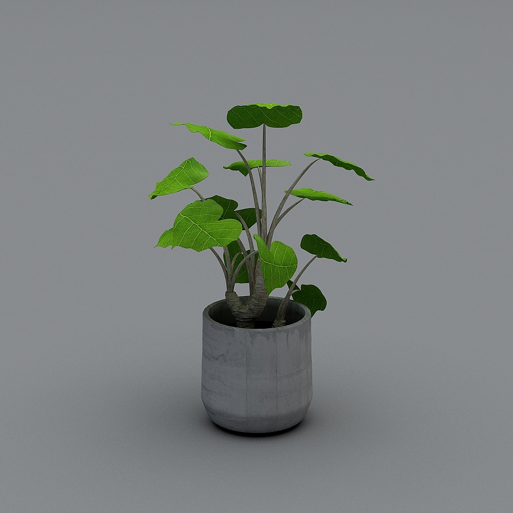 Round cement pot set 2