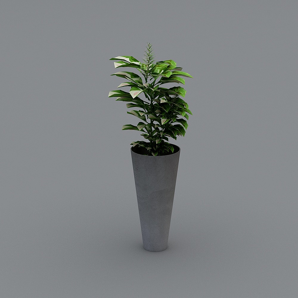 Urban Greenery 3D model